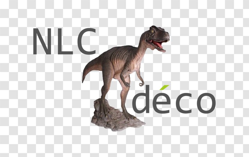 Allosaurus Velociraptor Tyrannosaurus Dinosaur Extinction - Animal Transparent PNG