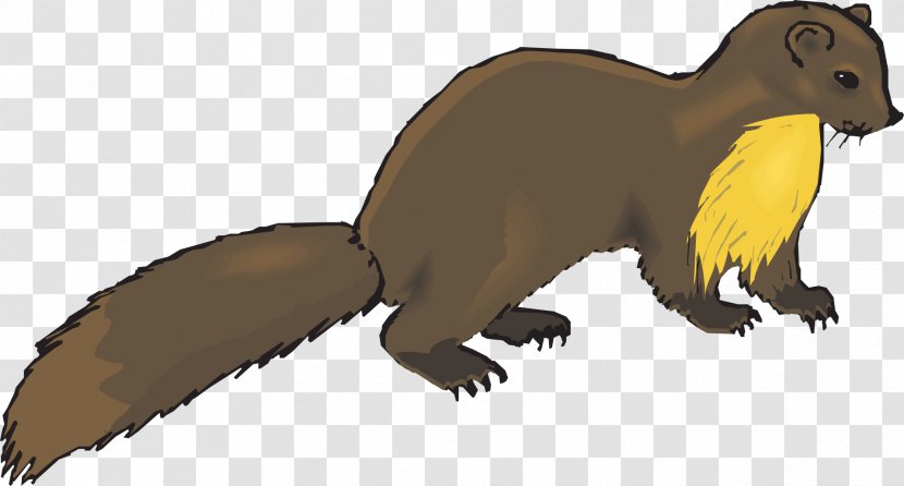 European Pine Marten Weasels Otter Ferret Clip Art - Tail - Claw Transparent PNG