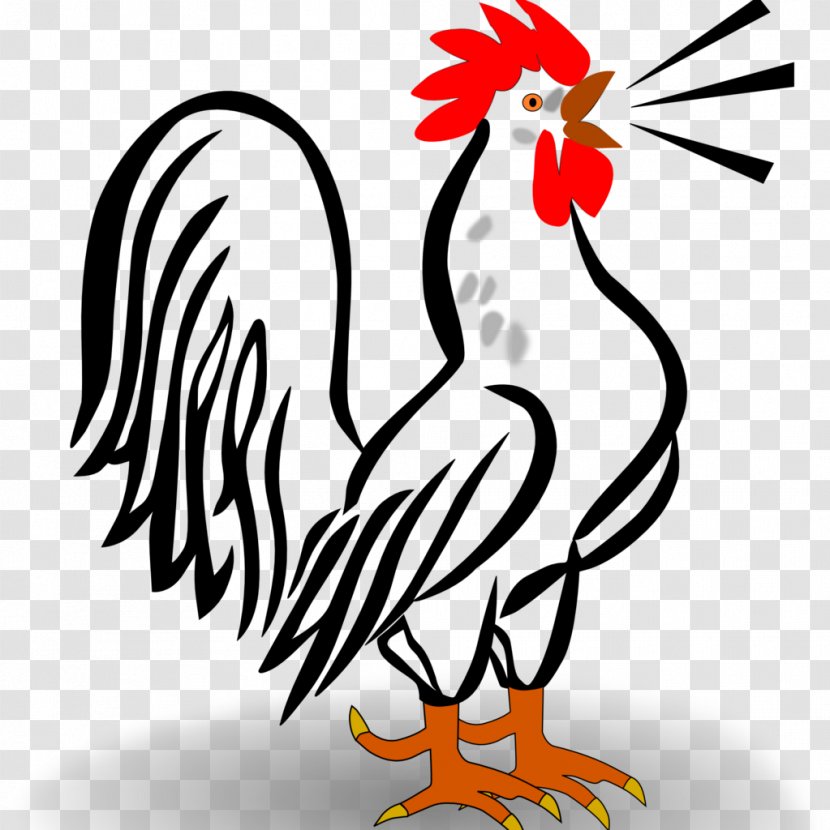 Chicken Rooster Clip Art - Photography - Crow Transparent PNG