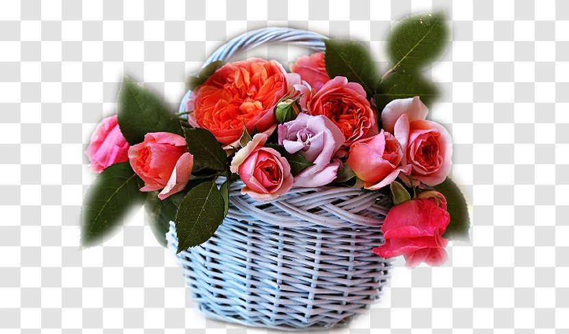 Garden Roses Birthday Flower Vietnamese Women's Day - Bouquet - Rose Transparent PNG