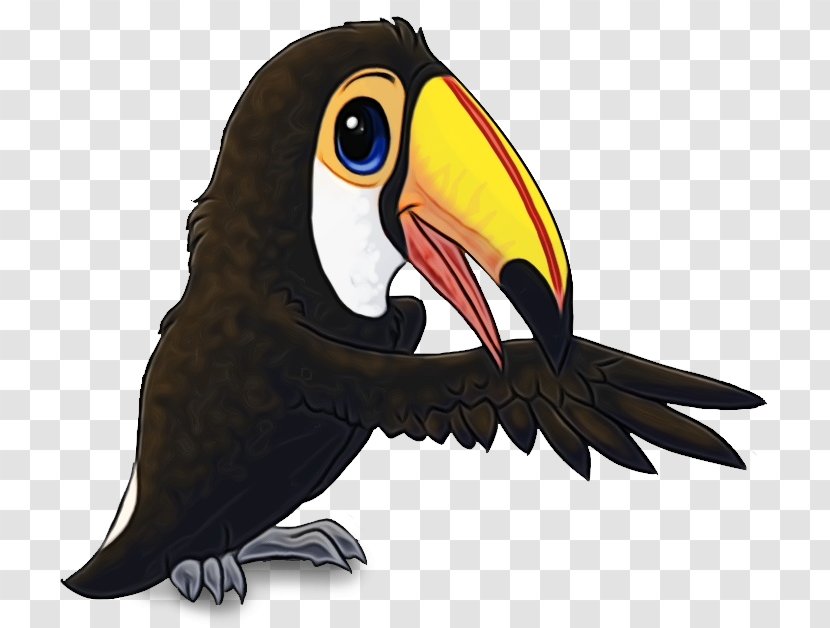 Toucan Bird Clip Art Cartoon Transparent PNG