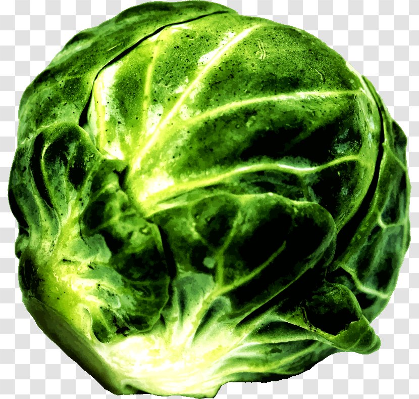 Vegetable Brussels Sprout Cabbage Food Clip Art - Spring Greens - Leafy Transparent PNG