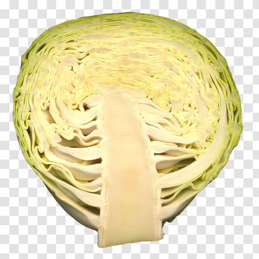 Vegetable Cabbage Futurism - Shop Transparent PNG