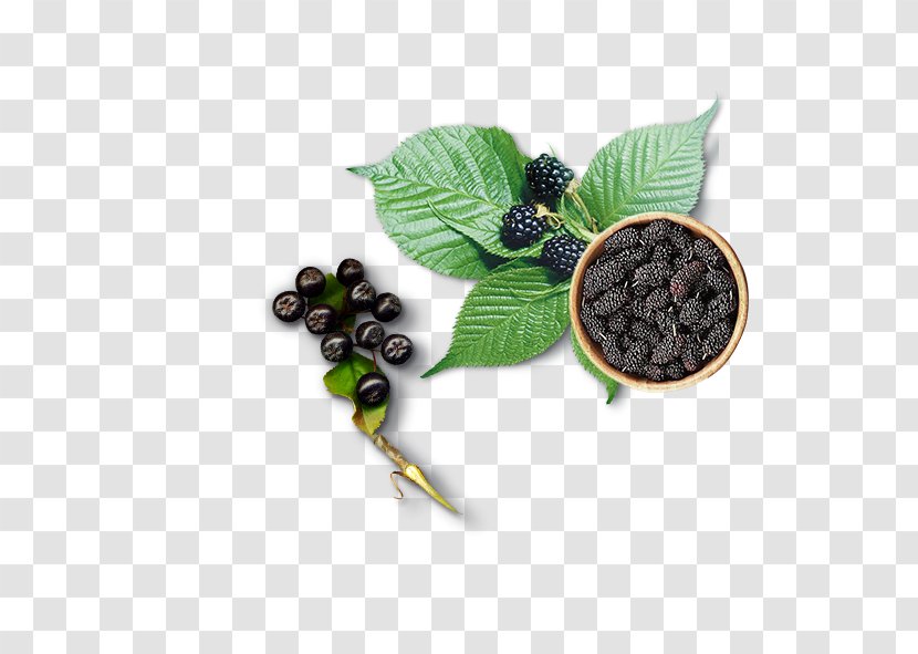 Ice Cream Blueberry Fruit Grape - Leaf Transparent PNG