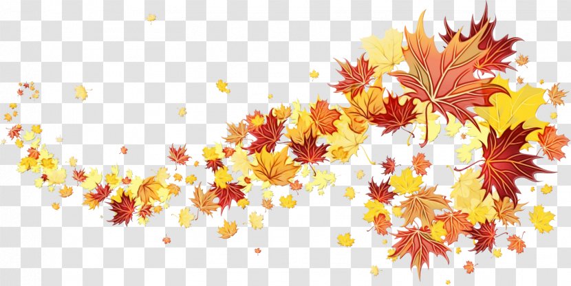 Autumn Leaf Drawing - Color - Plane Maple Transparent PNG