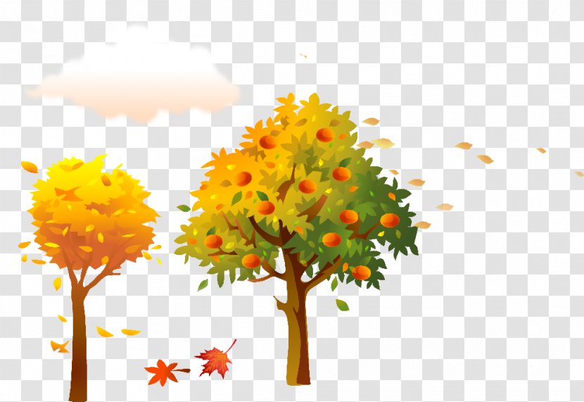 Tree - Autumn Transparent PNG