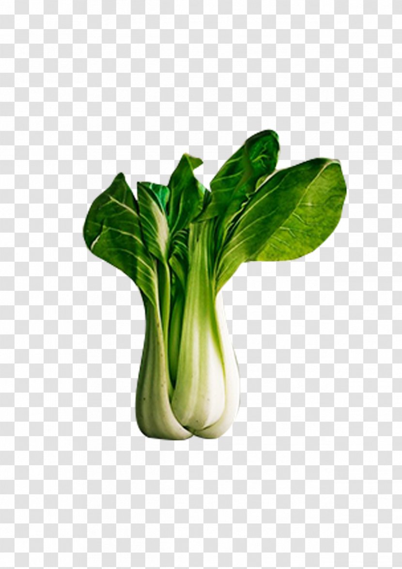 Vegetable Food Napa Cabbage Bok Choy Eating - Cartoon - Fresh Vegetables Transparent PNG