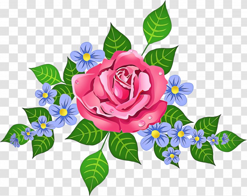 Blue Rose - Plant - Garden Roses Pink Transparent PNG
