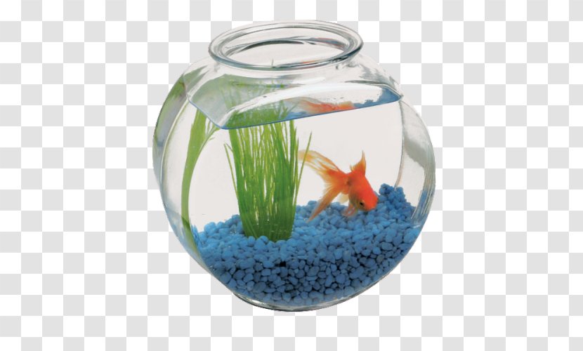 Bowl Fish Vase Glass Table - Aquarium Transparent PNG