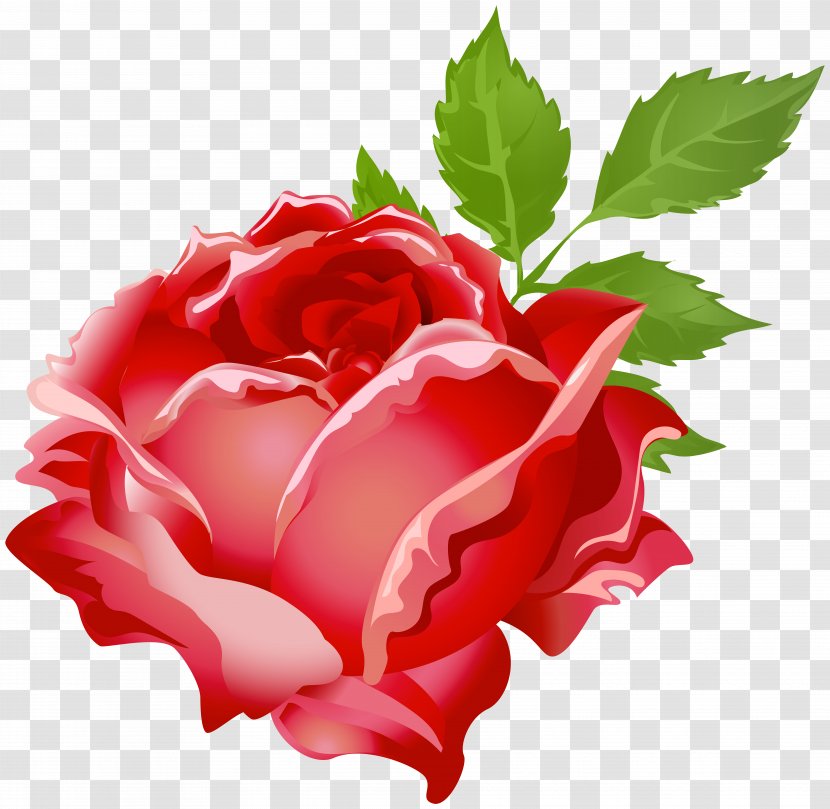 Purple Rose Tom Baxter Clip Art - Color - Red Image Transparent PNG