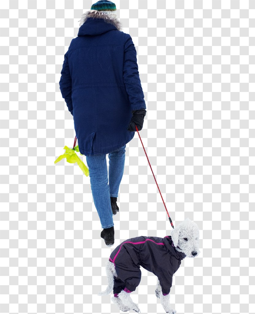 Dog Walking Transparent PNG