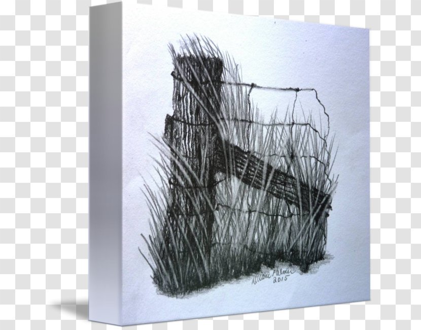 Drawing Pencil Painting Sketch - Wire Transparent PNG