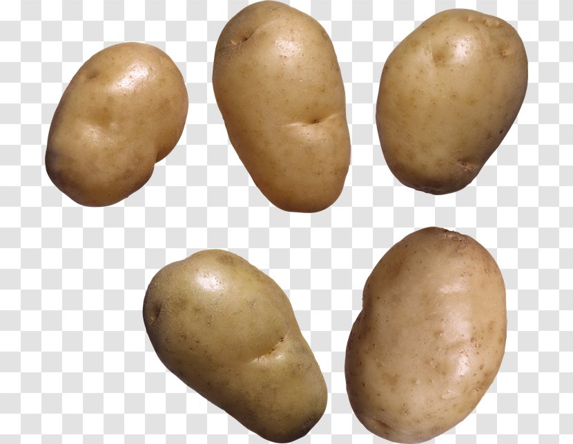 Baked Potato Clip Art - And Tomato Genus Transparent PNG