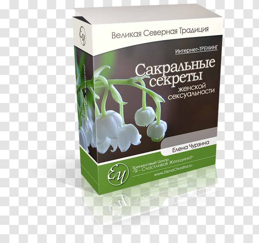 Lily Of The Valley Product Design Plants Transparent PNG