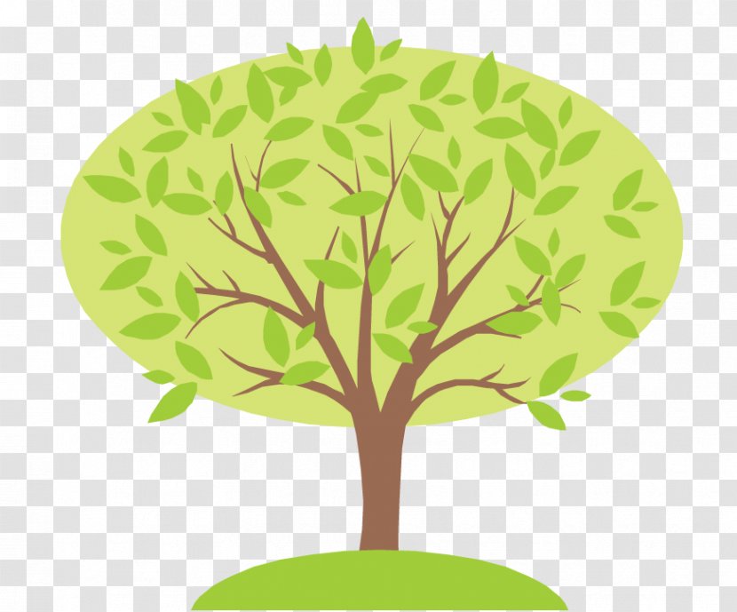 Your Family Tree Genealogy Ancestor Transparent PNG