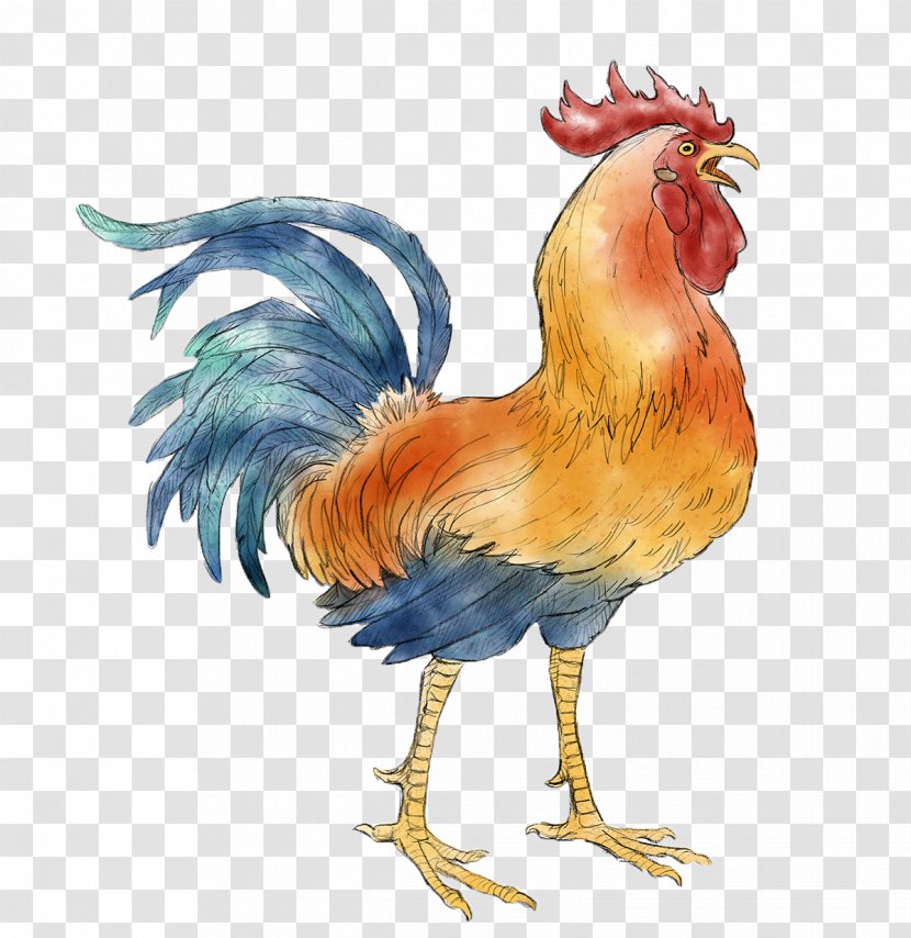 Chicken Rooster Wu Xing Fire Chinese New Year - Fowl Transparent PNG