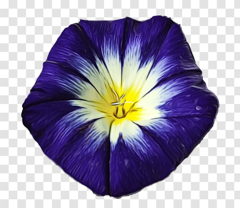 Flower Purple Violet Petal Plant Transparent PNG