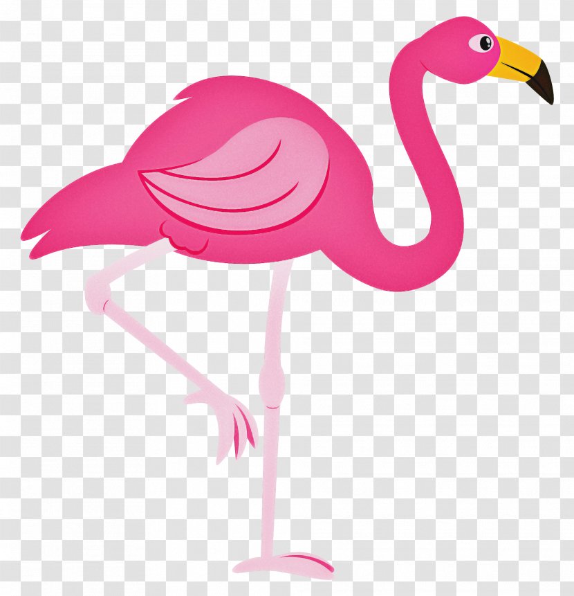 Pink Flamingo - Beak Water Bird Transparent PNG