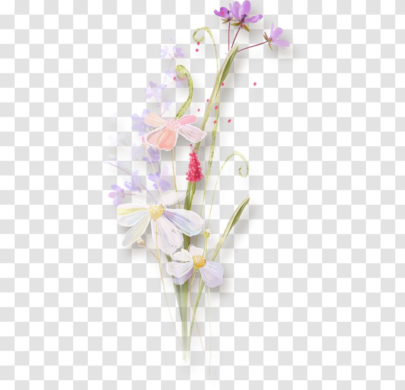 Desktop Wallpaper Afrikaans Flower Clip Art - Flowering Plant - Bouquet Transparent PNG