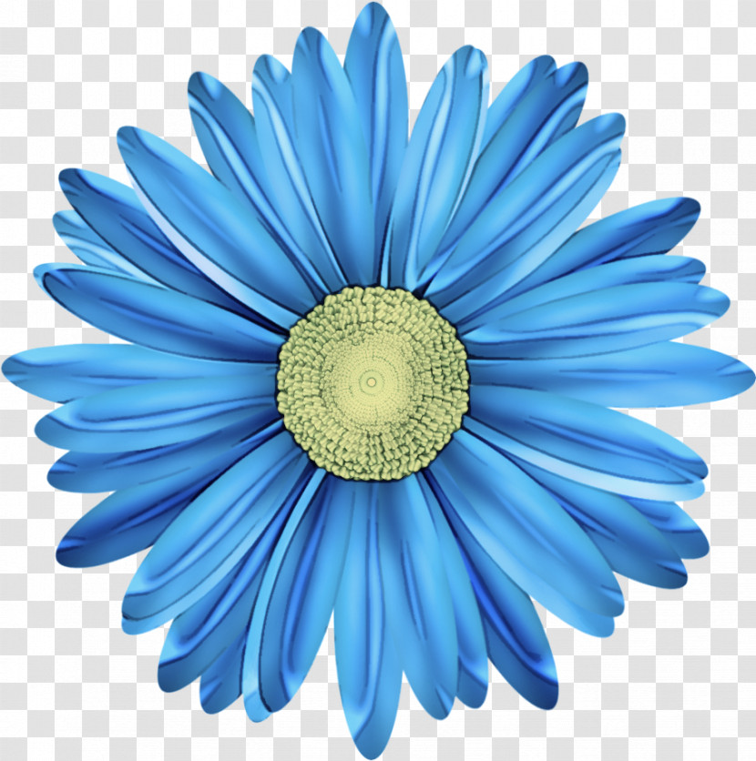 Daisy Transparent PNG