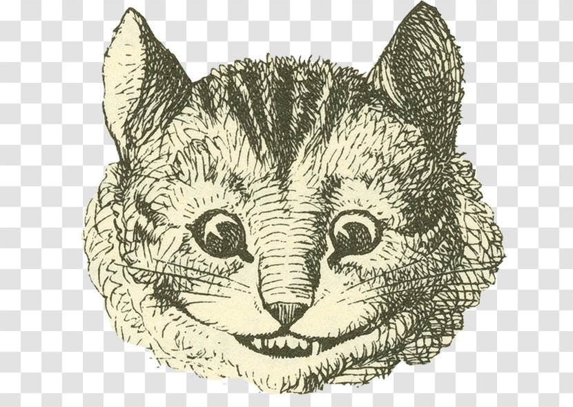 Cheshire Cat Alice's Adventures In Wonderland White Rabbit Mad Hatter - Head Transparent PNG