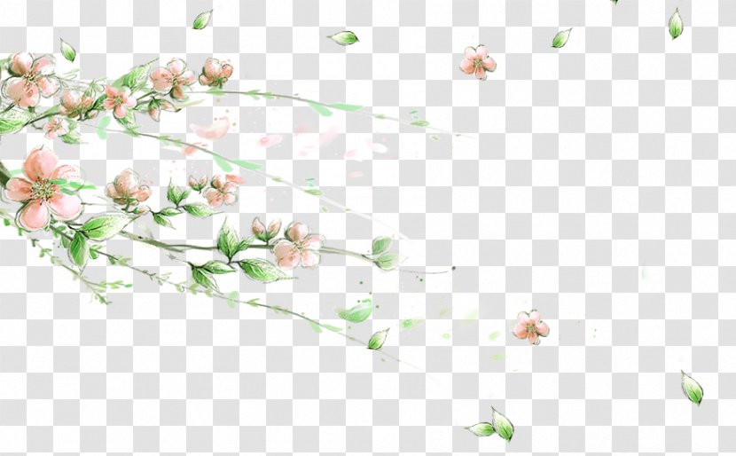 Flower Desktop Wallpaper Image Petal - Flowering Plant - Peach Blossom Transparent PNG