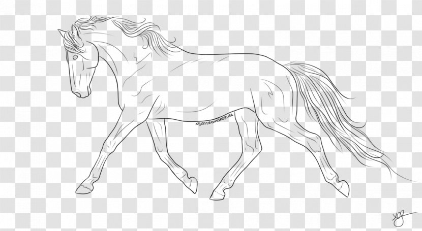 Line Art Dutch Warmblood Trot Bridle How To Draw A Horse - Figure Drawing - Raindrops Painted Transparent PNG