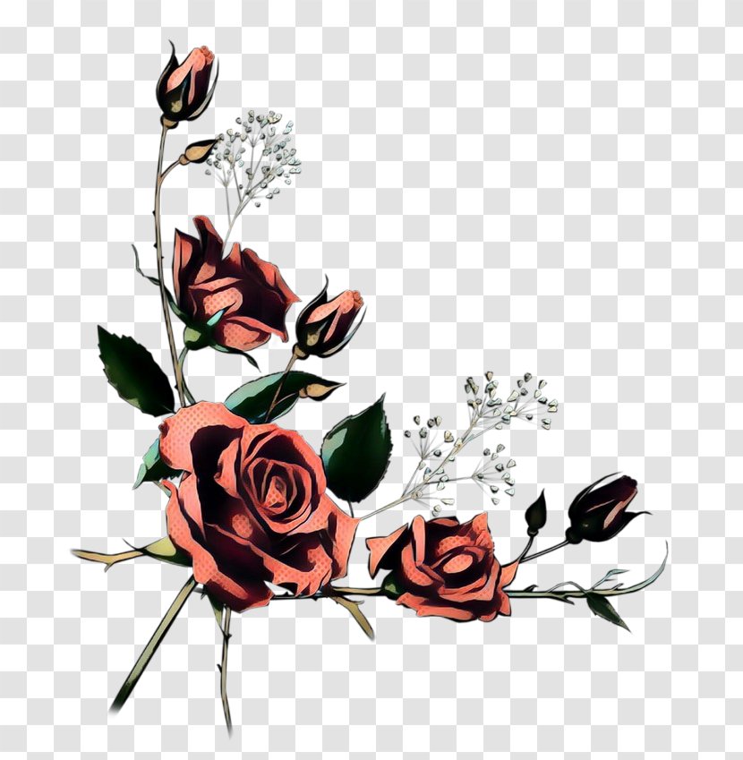 Garden Roses - Vintage - Flowering Plant Cut Flowers Transparent PNG