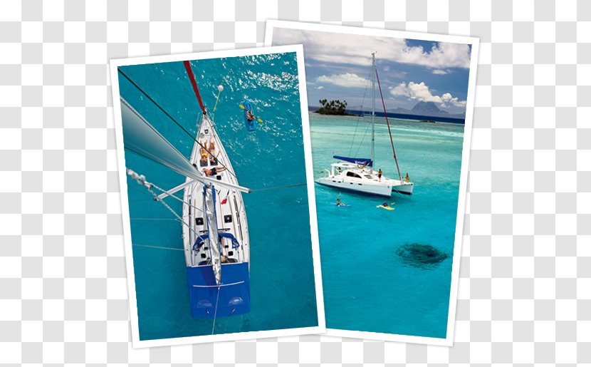 Water Transportation Advertising Leisure Vacation - Ocean Transparent PNG
