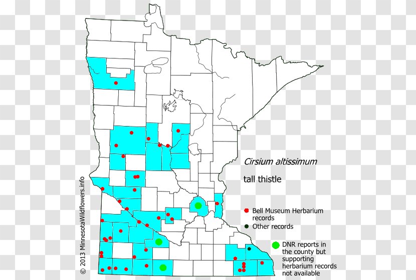 Minnesota Drawing Line Point Angle - Map Transparent PNG