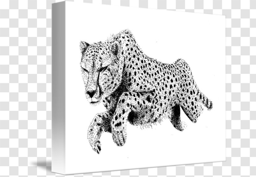 Cheetah Leopard Tiger Cat Jaguar - Big Cats Transparent PNG