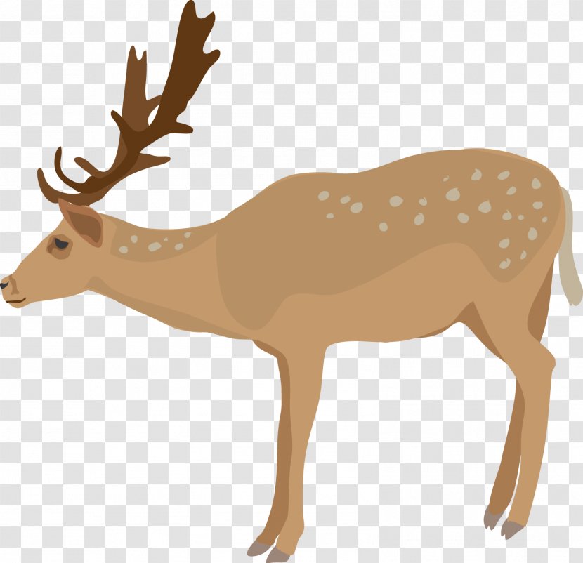 White-tailed Deer Clip Art - Hunting - Vector Transparent PNG