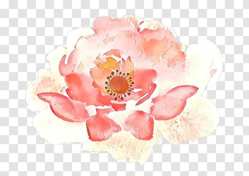 Watercolor Pink Flowers - Paint - Common Peony Transparent PNG