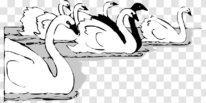 Vector Graphics Clip Art Drawing Bird Mute Swan - Logo - Swans Transparent PNG