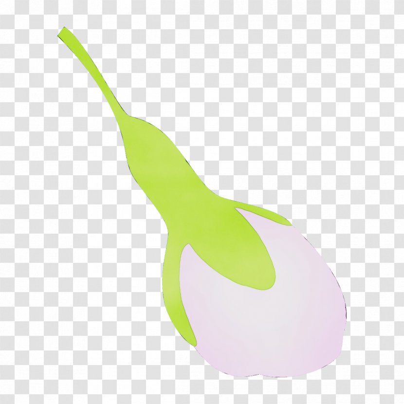 Plant Radish Pear Vegetable Logo - Paint - Tableware Transparent PNG