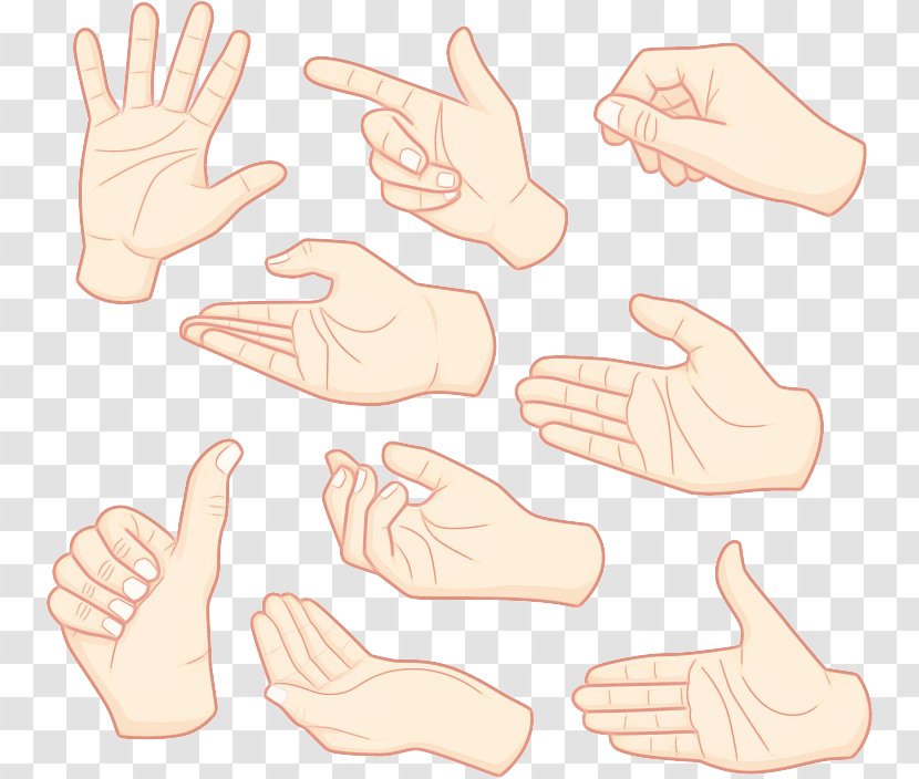 Finger Hand Gesture Thumb Arm - Sign Language - Nail Transparent PNG