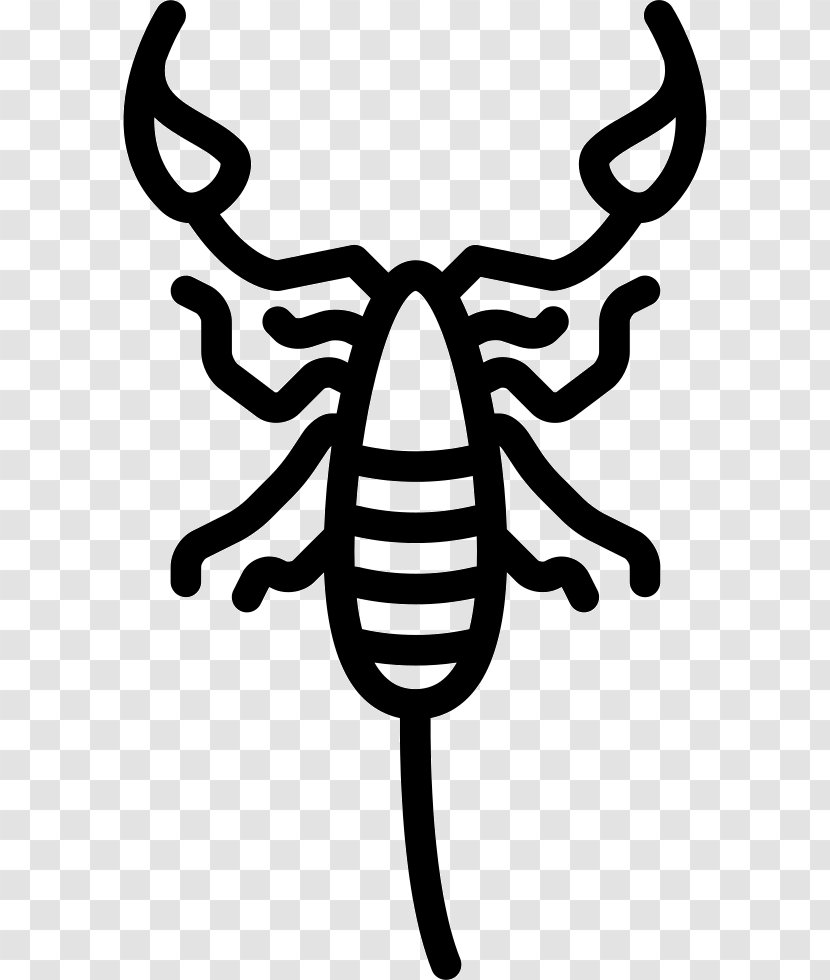 Scorpion Clip Art - Zodiac Transparent PNG