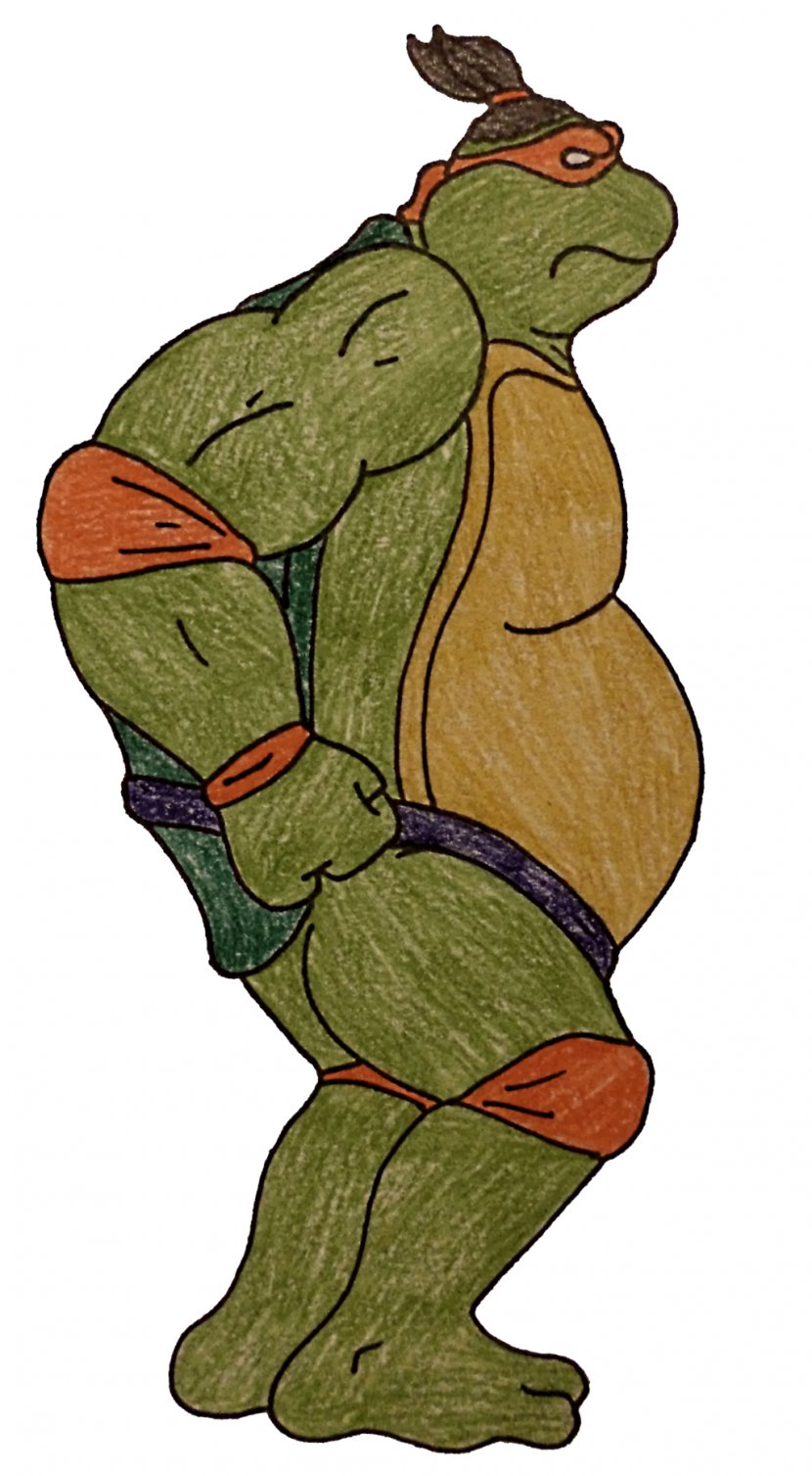 Turtle Reptile Amphibian Vertebrate Frog - Sumo Transparent PNG