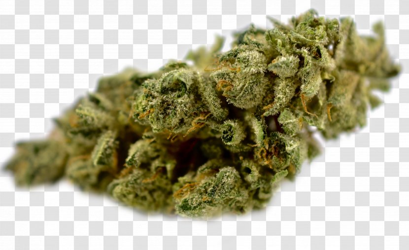 Cannabis Cup Drug Medical Kush - Weed Transparent PNG
