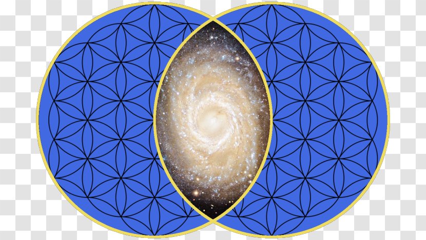 Vesica Piscis Sacred Geometry Symmetry Urinary Bladder - Made For Each Other Transparent PNG