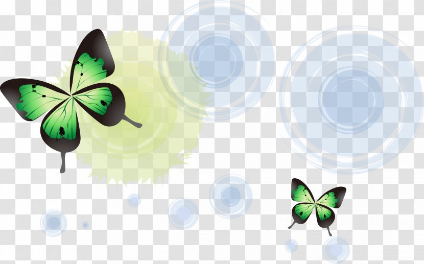 Butterfly Light Halo - Invertebrate - Butterflies Vector Transparent PNG
