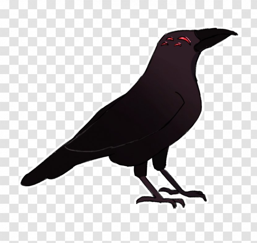 American Crow New Caledonian Bird Common Raven - Parrot Transparent PNG