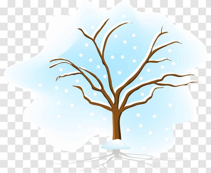 Vector Graphics Season Image Tree - Branch Transparent PNG