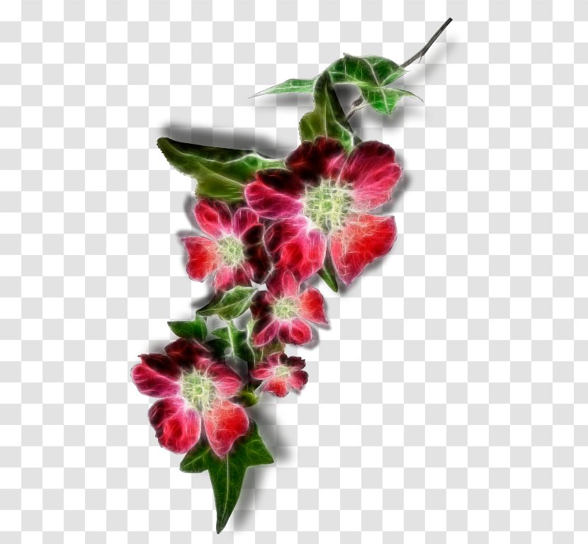 Floral Design Cut Flowers GIF Desktop Wallpaper - Flowering Plant - Arabic Words Transparent PNG