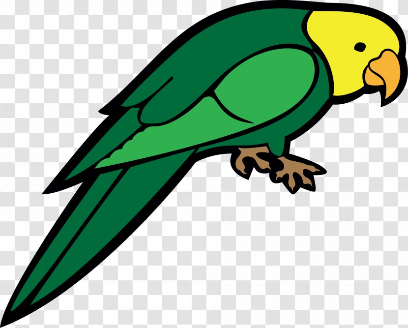 Parrot Bird Clip Art - Wing - Cartoon Green Transparent PNG