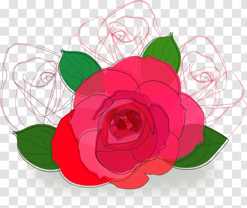 Beach Rose Flower Drawing - Red - Line Transparent PNG