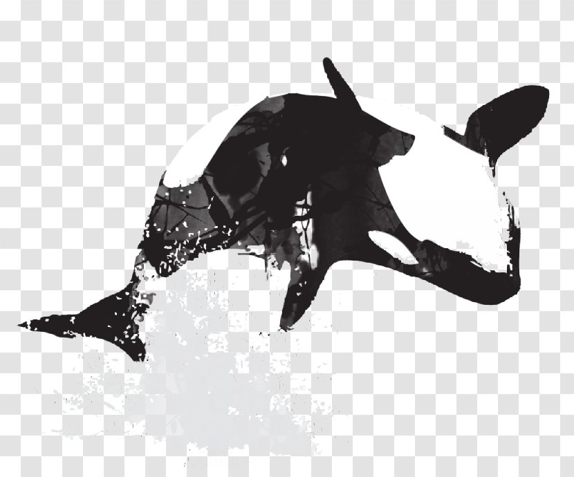 Killer Whale Cetacea Art Drawing - Black And White - Design Transparent PNG