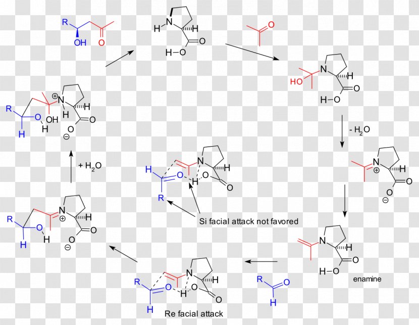 Organocatalysis Aldol Reaction Mechanism Fructose-bisphosphate Aldolase - Parallel Transparent PNG