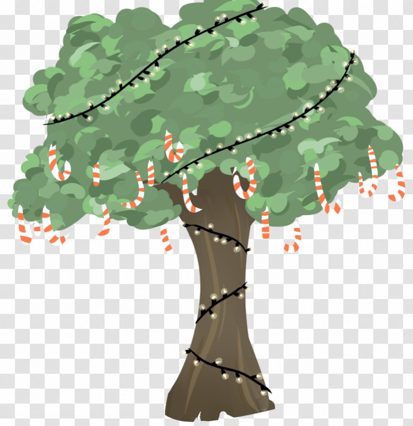 Fir Christmas Tree Ornament Pine - Branching Transparent PNG