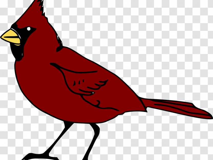 Bird Northern Cardinal Clip Art - Royaltyfree Transparent PNG
